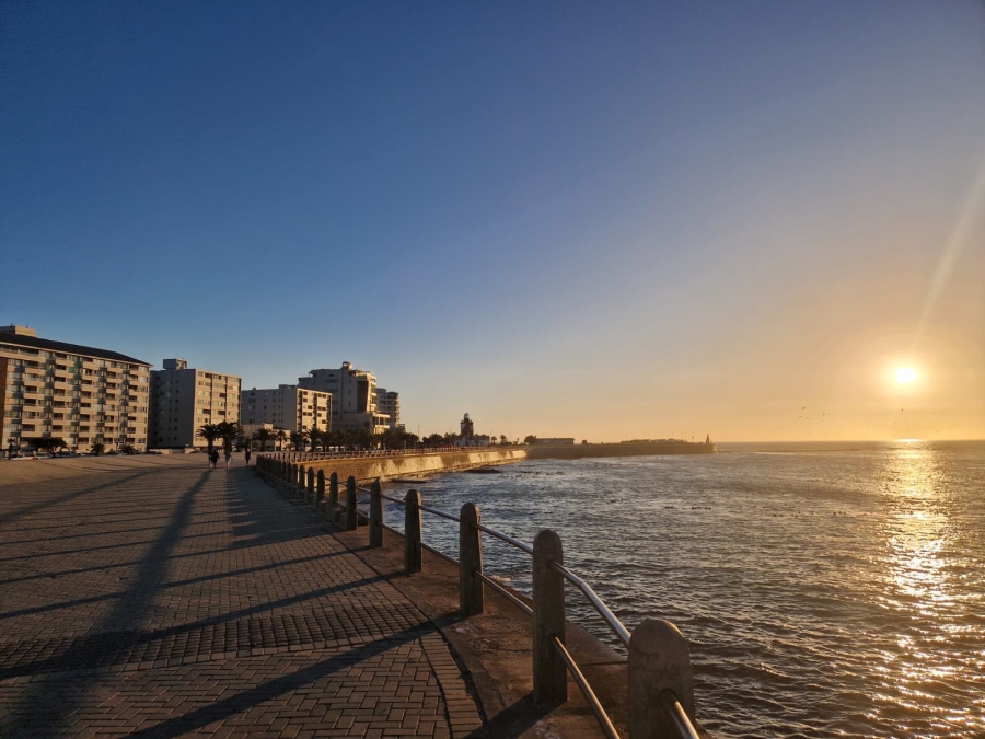 To Let 1 Bedroom Property for Rent in Mouille Point Western Cape